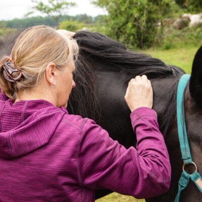 EquiKonzept Claudia Gerber - Pferdetherapie und Pferdetraining - Entspannung Nackenmuskulatur