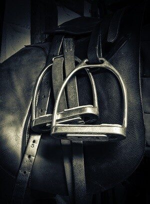 EquiKonzept Claudia Gerber Pferdetherapie & Training - Steigbügel am Sattel